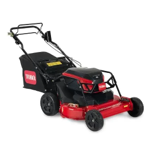 Toro 22232 Walk Behind