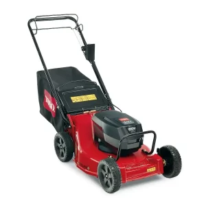 Toro 22282 Walk Behind