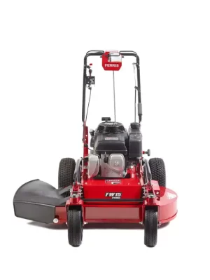 Ferris 5901737 Walk Behind